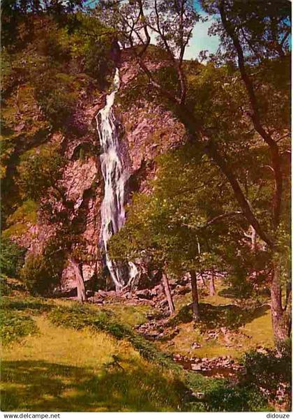 Irlande - Wicklow - Powerscourt Waterfall - Cascades - CPM - Voir Scans Recto-Verso