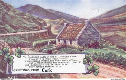 55119971 - Cork