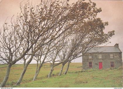 IRELAND - Glencolombkille, Donegal, Irish Cottage