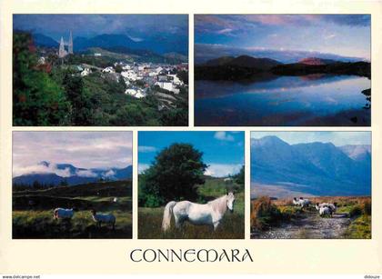 Irlande - Galway - Connemara - Multivues - Chevaux - Moutons - CPM - Voir Scans Recto-Verso