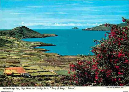 Irlande - Kerry - Ballinskelligs Bay - Hogs Head and Skellig Rocks - Ring of Kerry - CPM - Voir Scans Recto-Verso