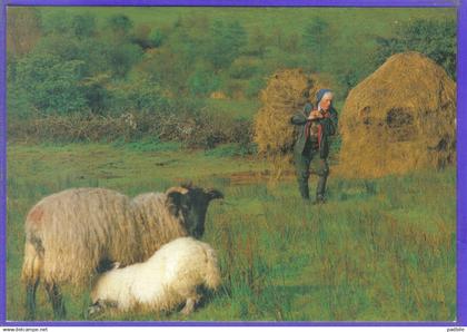 Carte Postale Irelande  Co. Leitrim  at work in fields near Glencar lake très beau plan