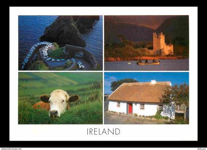 Irlande - Multivues - CPM - Voir Scans Recto-Verso