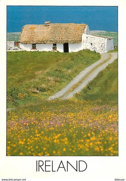 Irlande - A typical Irish cottage - Ireland - CPM - Voir Scans Recto-Verso