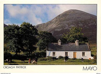 Irlande - Wexford - Croagh Patrick - Vaches - Carte Neuve - Ireland - CPM - Voir Scans Recto-Verso