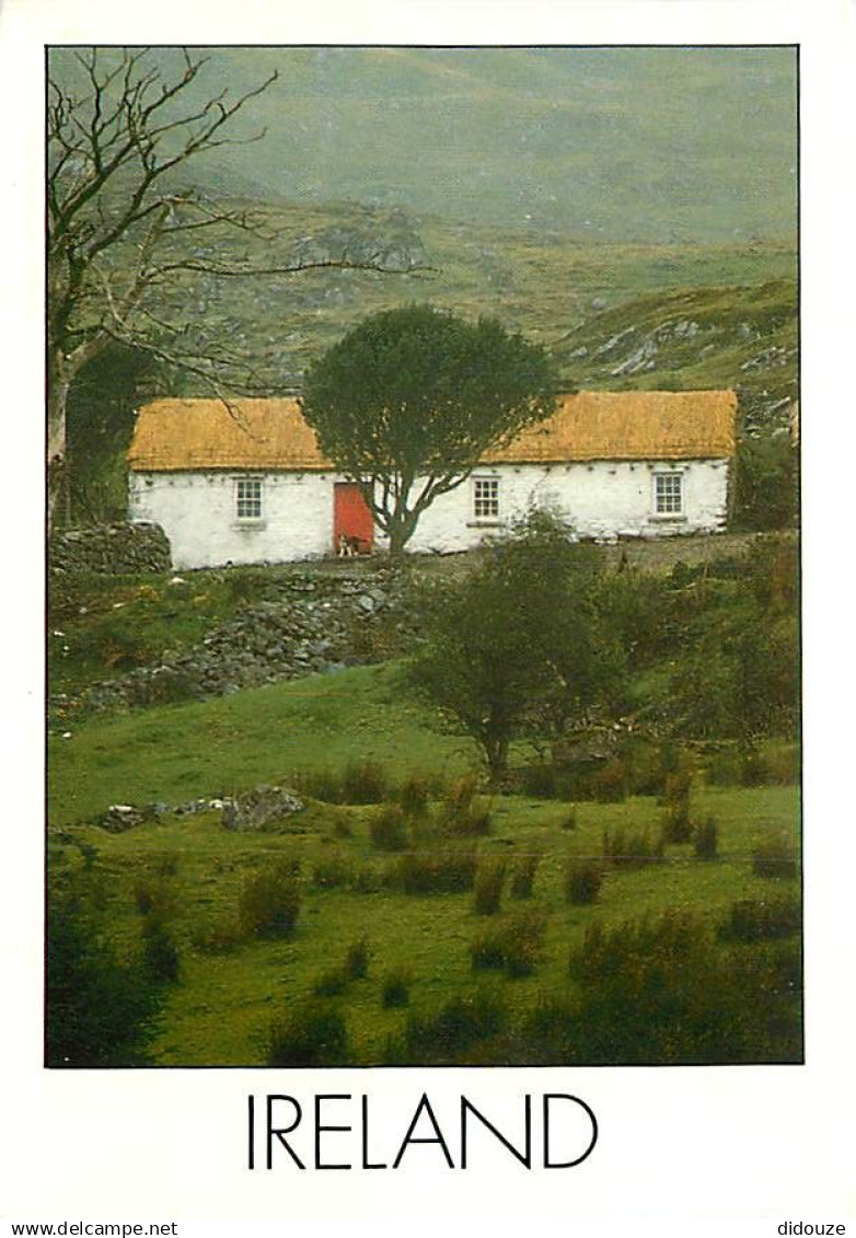 Irlande - A typical Irish cottage - Ireland - CPM - Voir Scans Recto-Verso