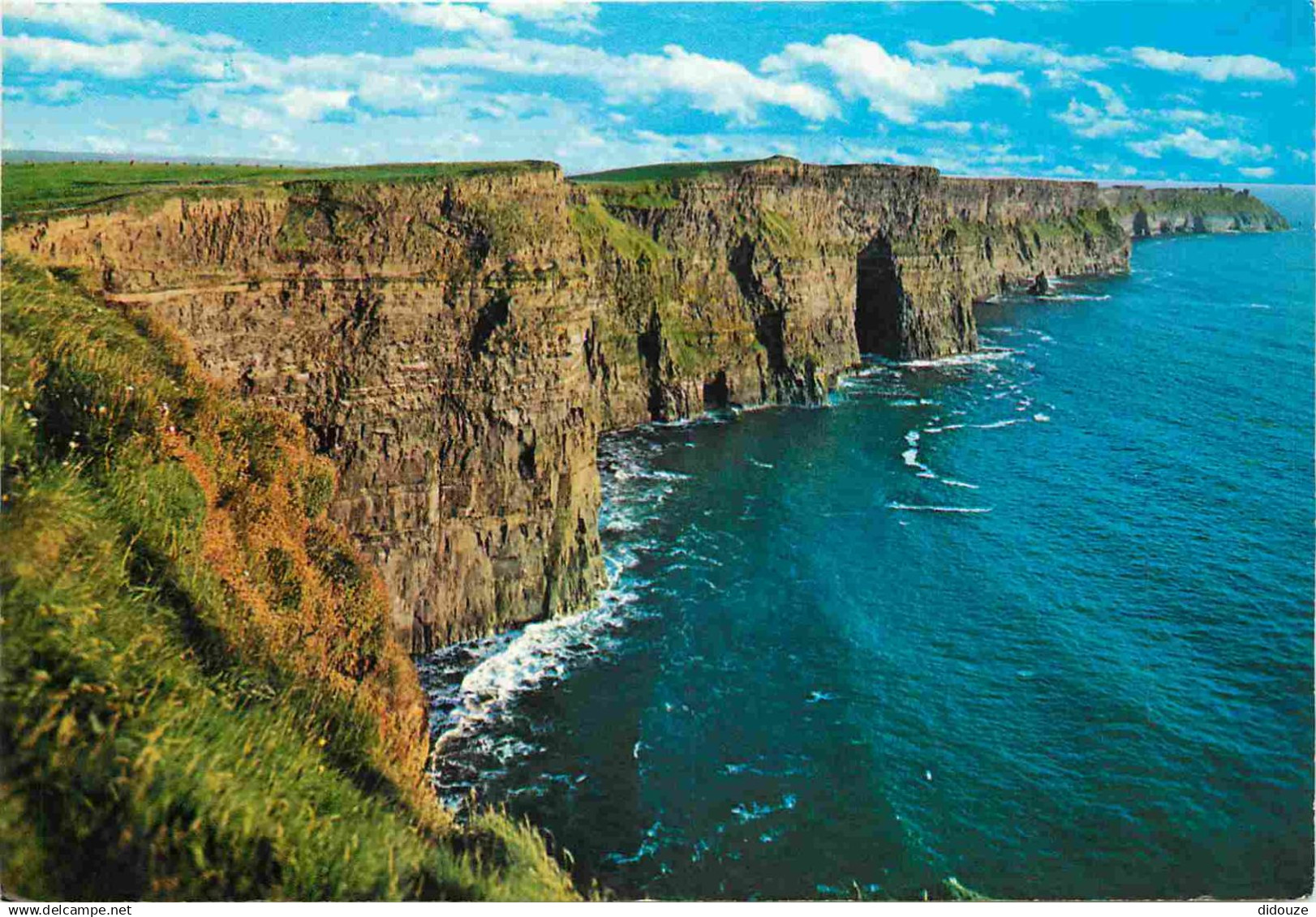 Irlande - Clare - Cliffs of Moher - CPM - Voir Scans Recto-Verso