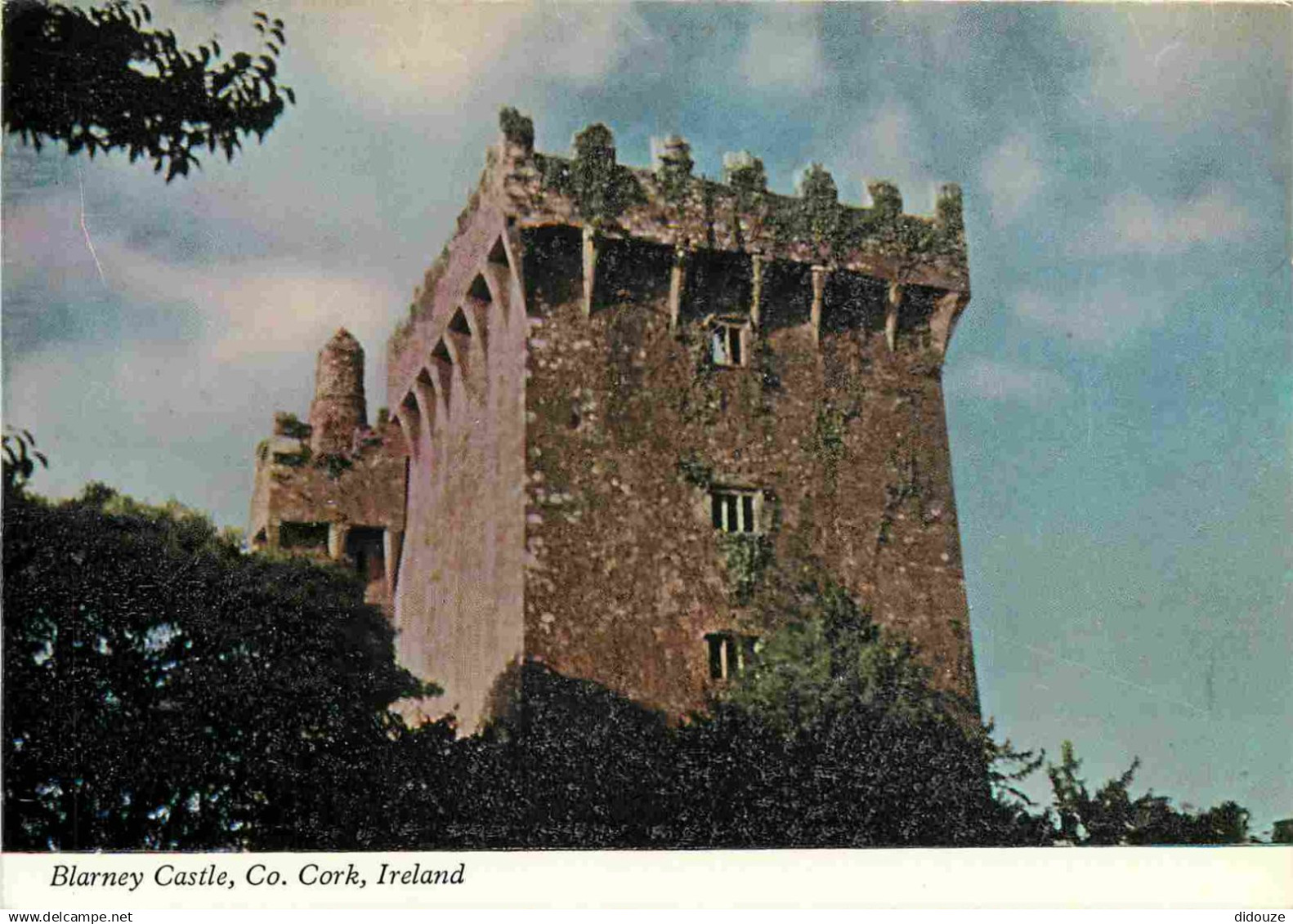 Irlande - Cork - Blarney Castle - CPM - Voir Scans Recto-Verso