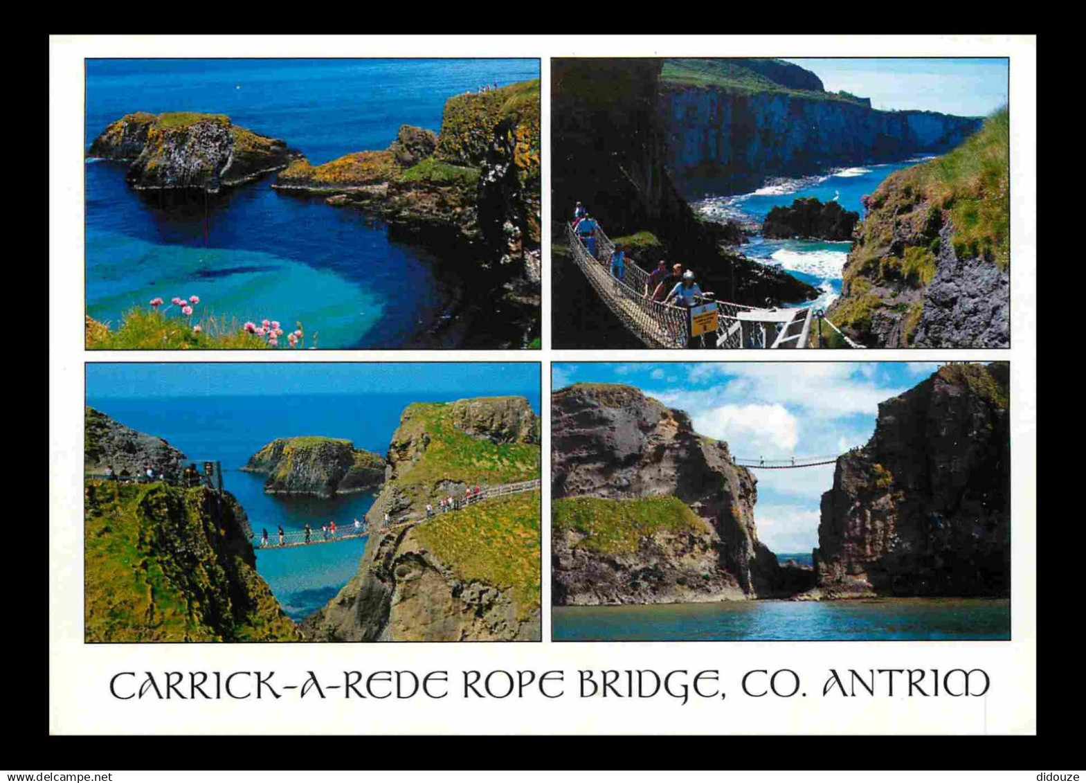 Irlande du Nord - Antrim - Carrick a Rede Rope Bridge - Multivues - CPM - Voir Scans Recto-Verso