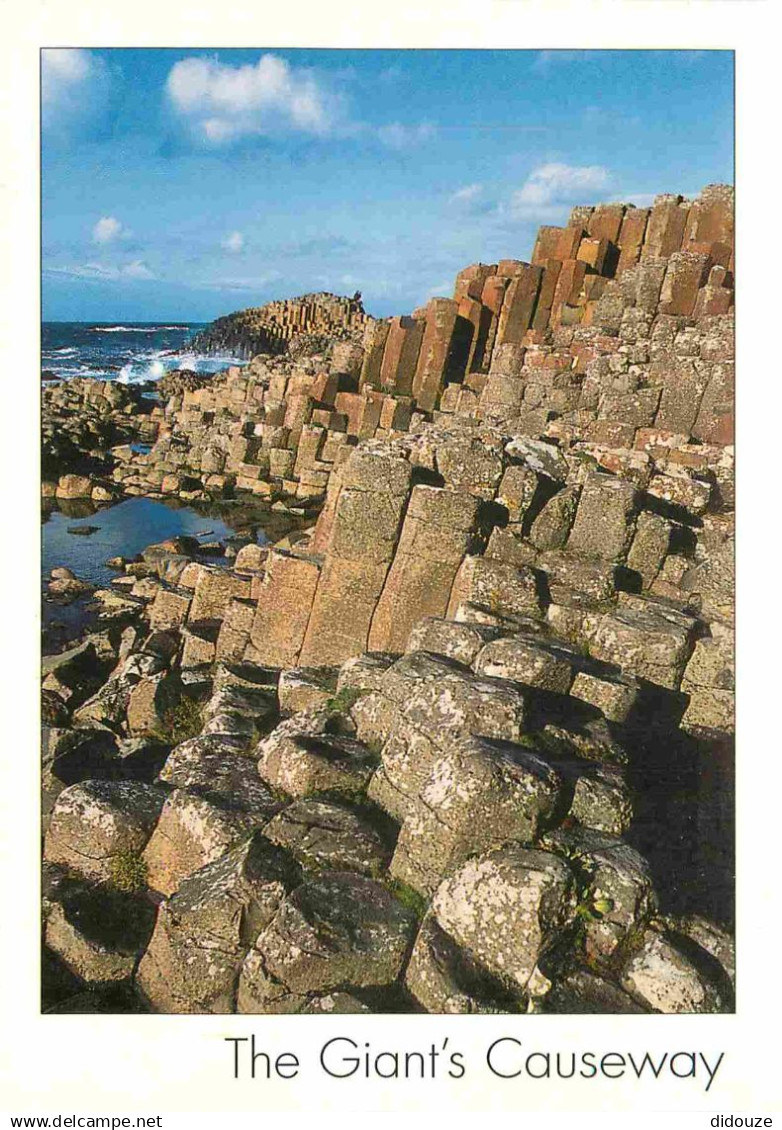 Irlande du Nord - Antrim - Giants Causeway - CPM - Carte Neuve - Voir Scans Recto-Verso