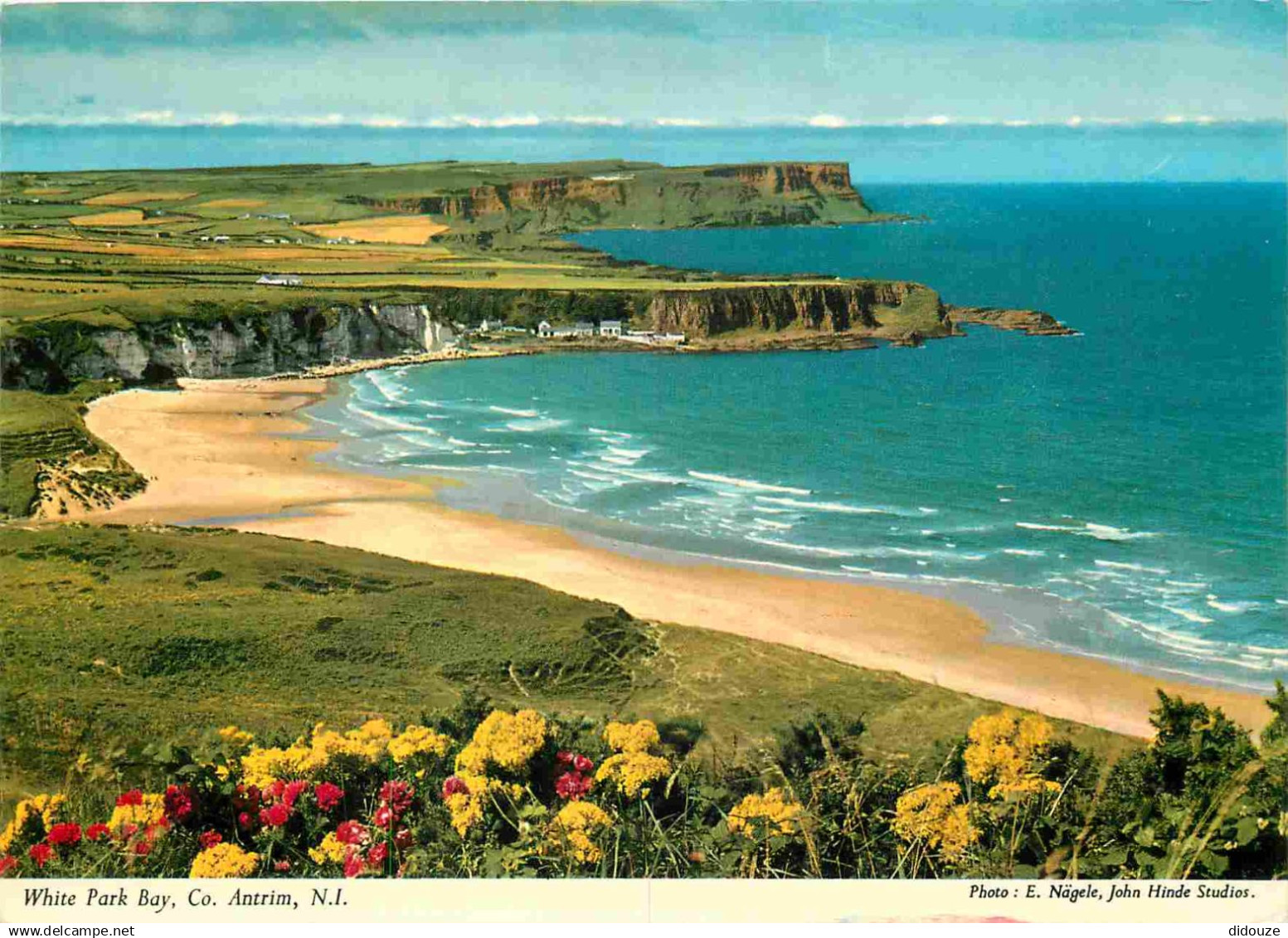 Irlande du Nord - Antrim - White Park Bay - CPM - Voir Scans Recto-Verso