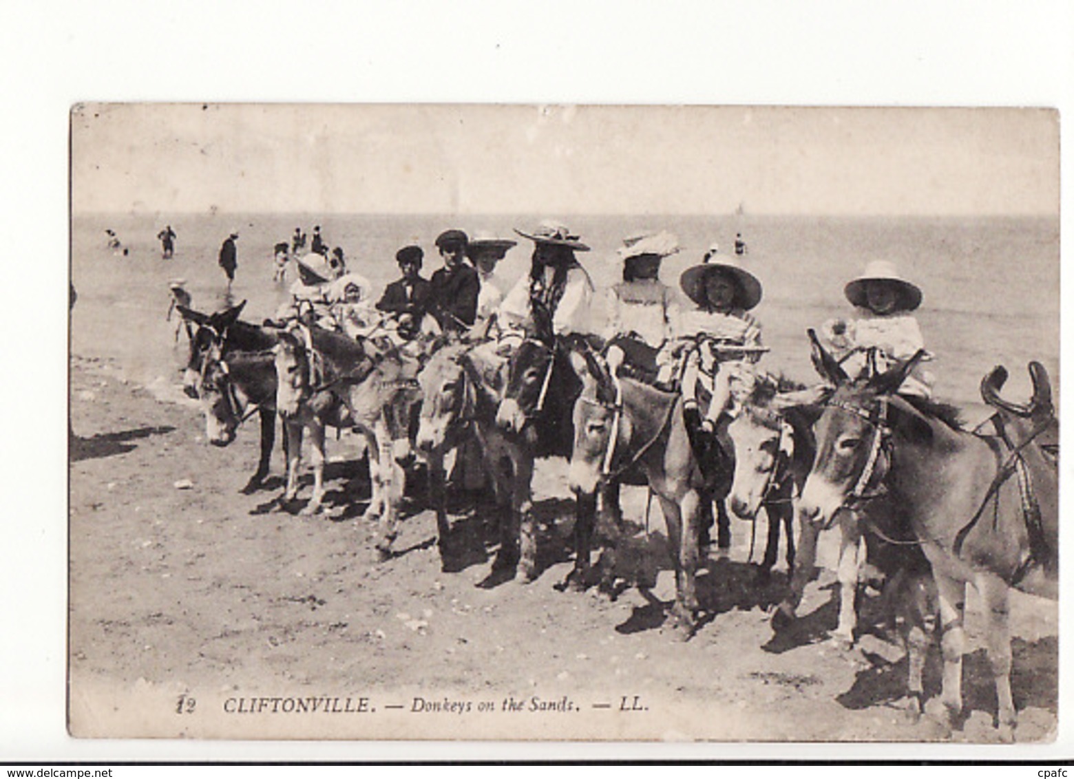 Irlande du Nord - Cliftonville - Donkeys on theSands (Belfast) ânes