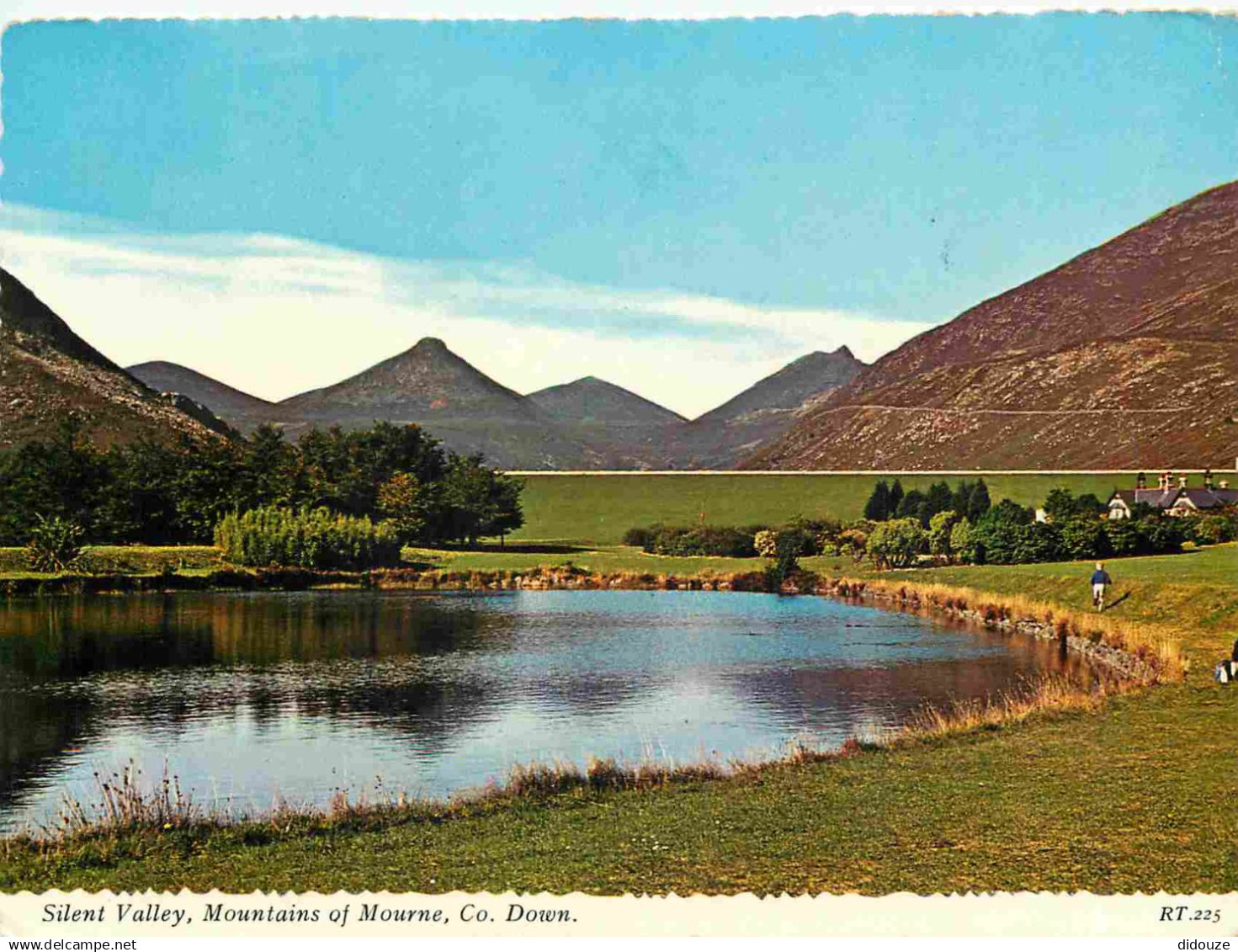 Irlande du Nord - Down - Silent Valley - Mountains of Mourne - CPM - Voir Scans Recto-Verso