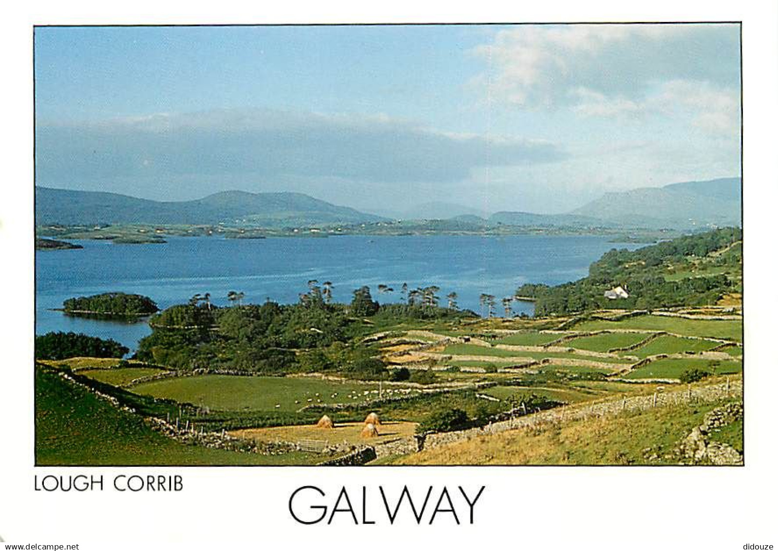 Irlande - Galway - Lough Corrib - Carte Neuve - Ireland - CPM - Voir Scans Recto-Verso