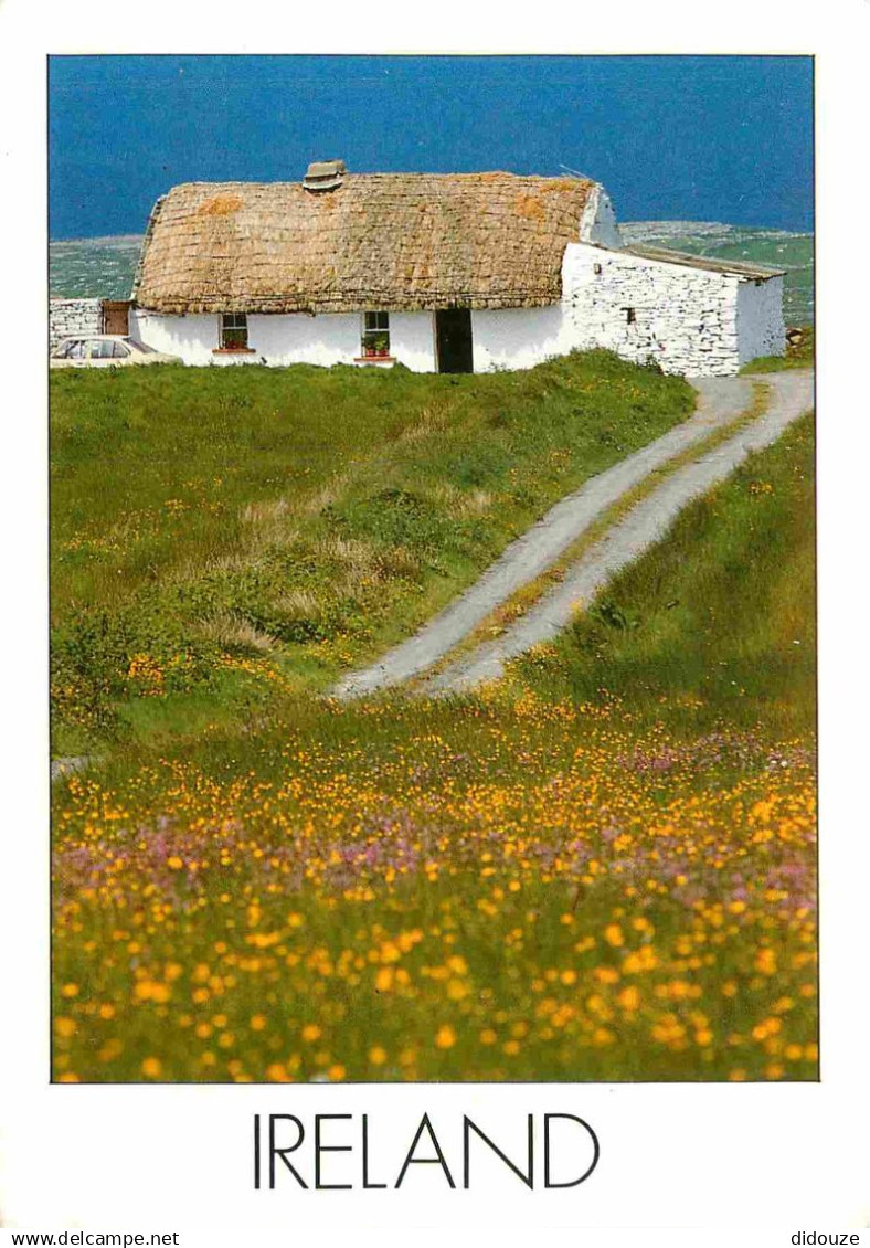 Irlande - Irish Cottage - CPM - Voir Scans Recto-Verso