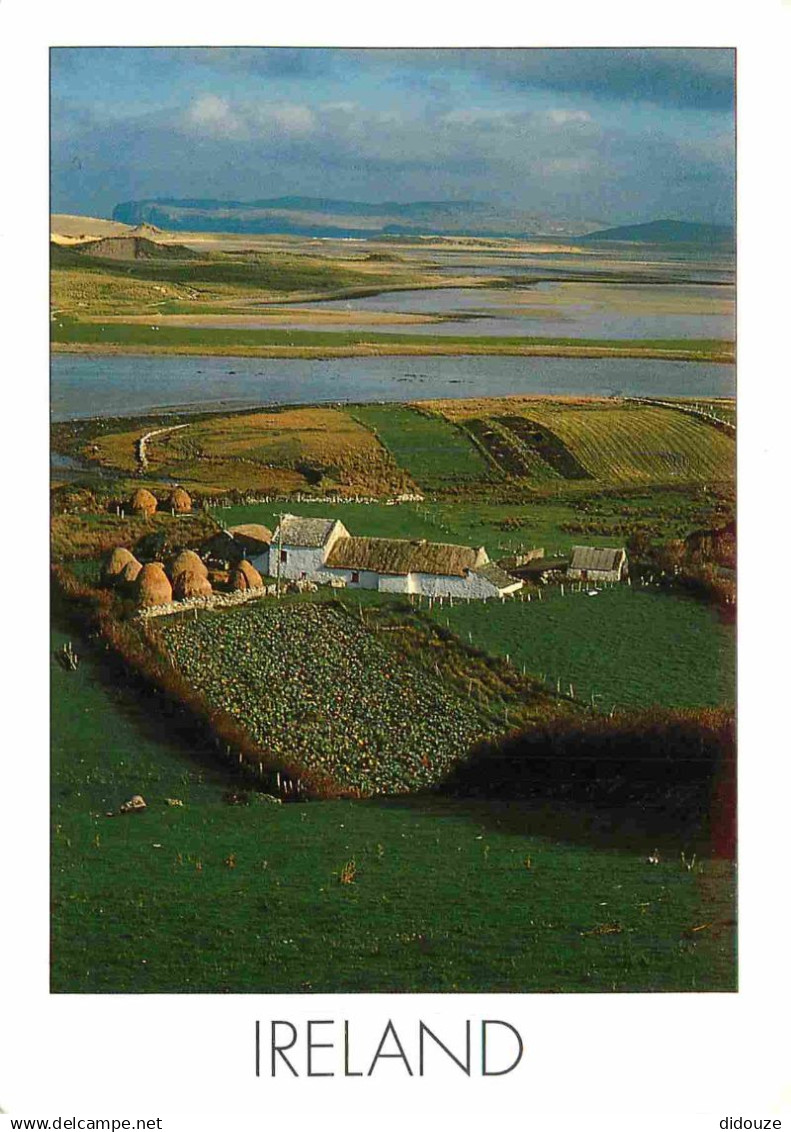 Irlande - Irish landscape - CPM - Voir Scans Recto-Verso