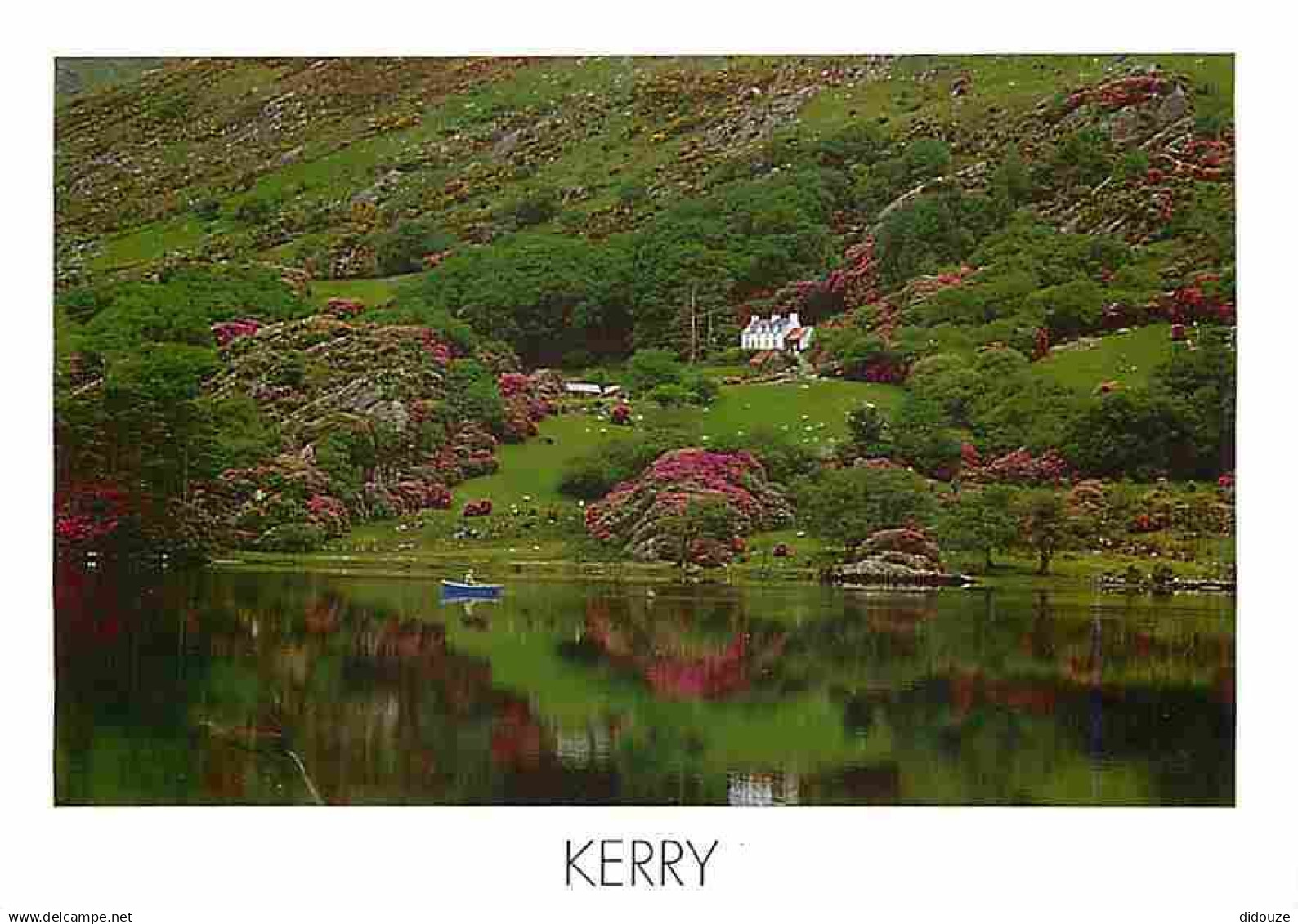 Irlande - Kerry - Kerry is a county of outstanding beauty - Carte Neuve - Ireland - CPM - Voir Scans Recto-Verso