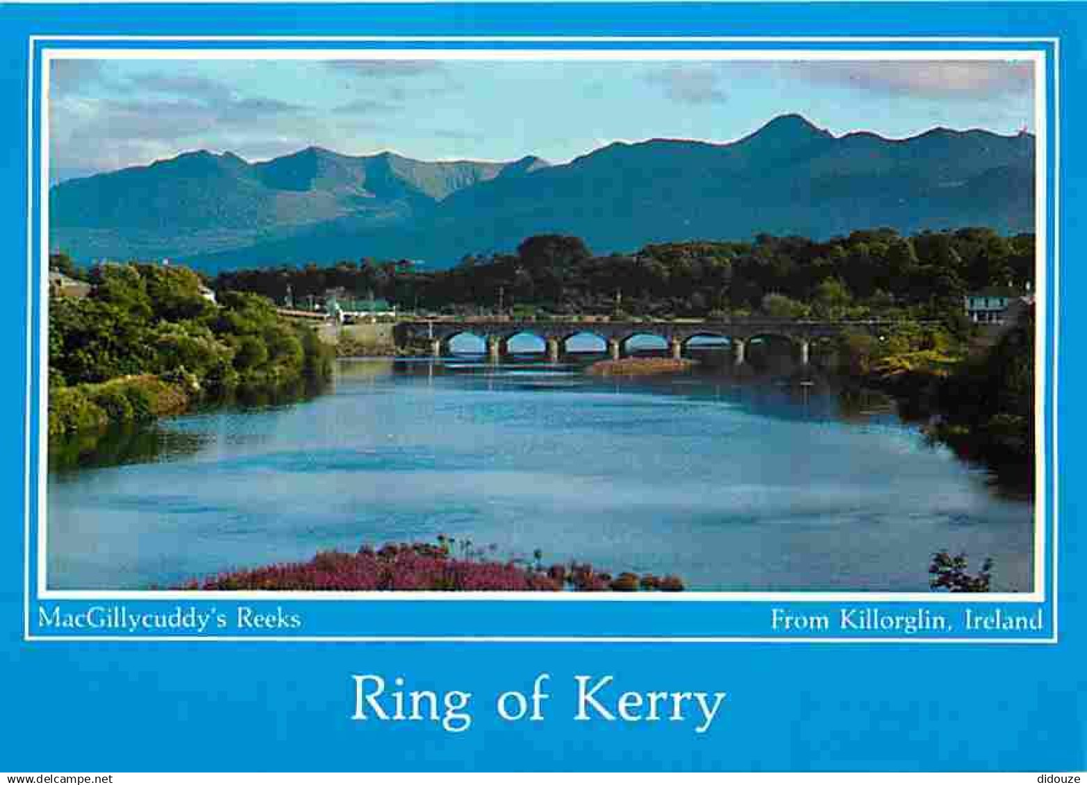 Irlande - Kerry - MacGillycuddy's Reeks - Killorglin - Ring of Kerry - CPM - Voir Scans Recto-Verso