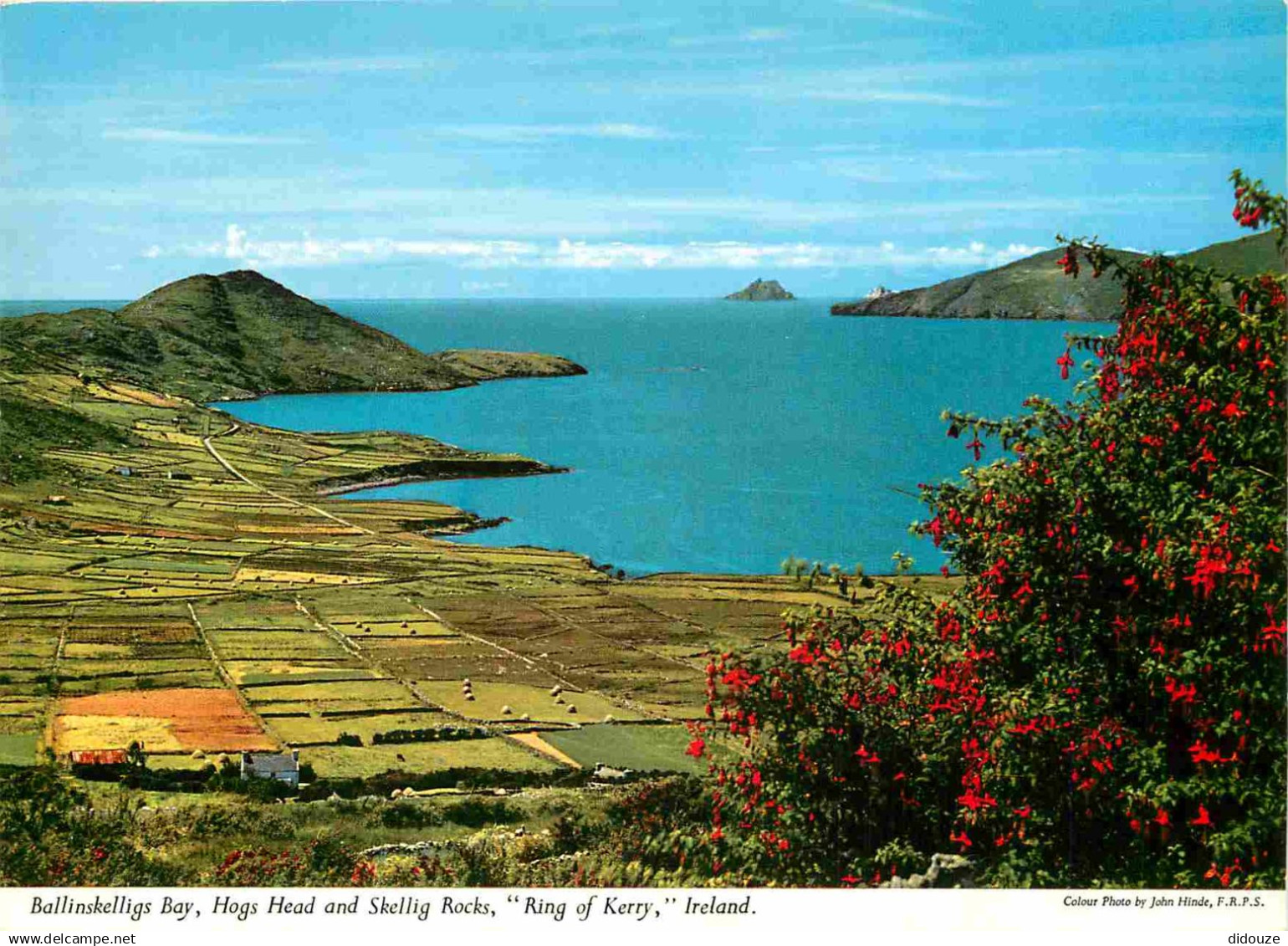 Irlande - Kerry - Ring of Kerry - Ballinskelligs Bay - Hogs Head and Skellig Rocks - Ireland - Irlanda - CPM - Voir Scan