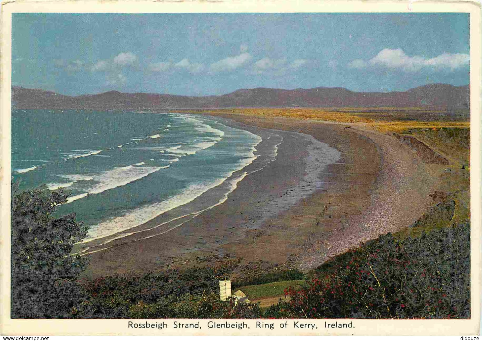 Irlande - Kerry - Ring of Kerry - Rossbeigh Strand - Glenbeigh - CPM - Voir Scans Recto-Verso