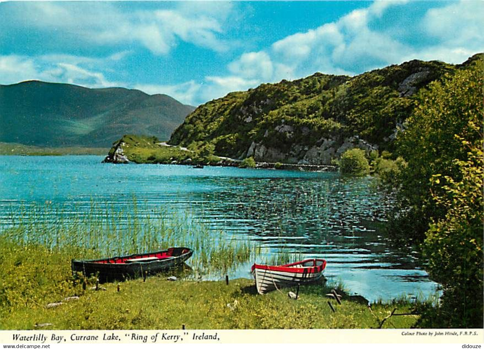 Irlande - Kerry - Ring of Kerry - Waterlilly Bay, Currane Lake - Carte Neuve - Ireland - CPM - Voir Scans Recto-Verso