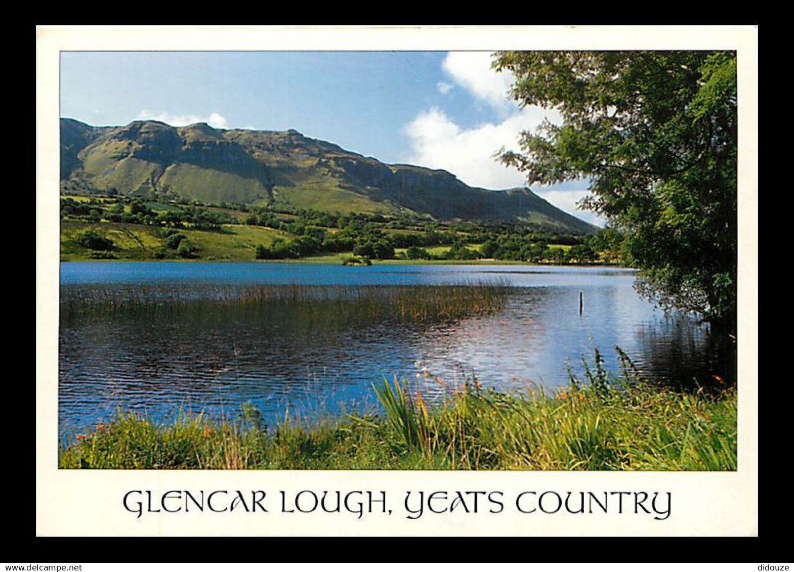 Irlande - Sligo - Glencar Lough - Yeats Country - Ireland - CPM - Voir Scans Recto-Verso