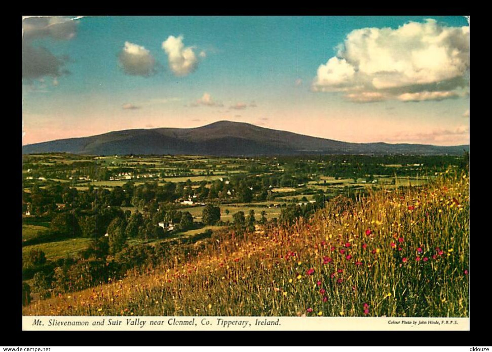 Irlande - Tipperary - Mt. Slievenamon and Suir Valley near Clonmel - Ireland - CPM - Voir Scans Recto-Verso