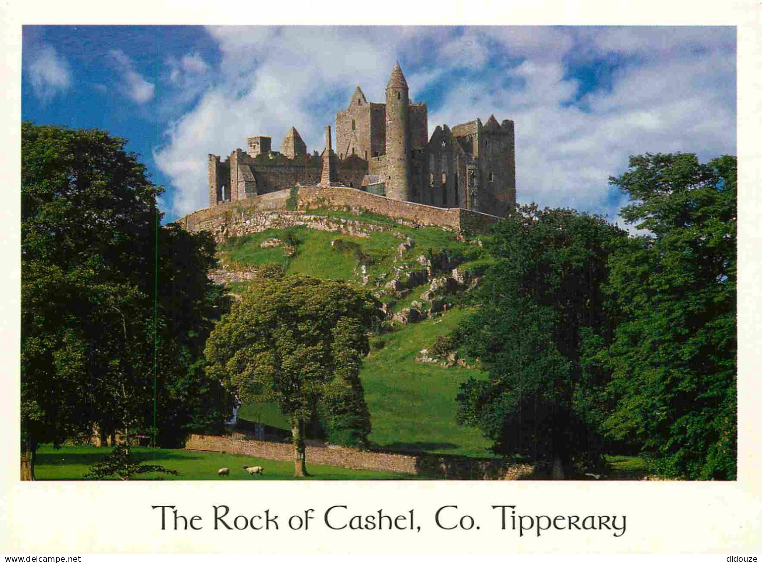 Irlande - Tipperary - The Rock of Cashel - Chateaux - Ireland - Irlanda - CPM - Voir Scans Recto-Verso