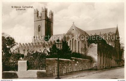 43334746 Limerick Irland St. Merys Cathedral