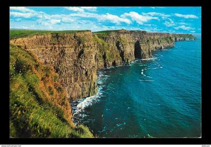 Irlande - Clare - Cliffs of Moher - CPM - Voir Scans Recto-Verso