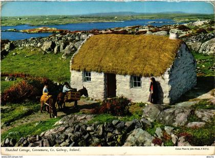 CPM AK Galway Thatched cottage IRELAND (1440812)