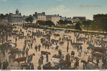 * GALWAY - Eyre Square, Cattle Market 1919