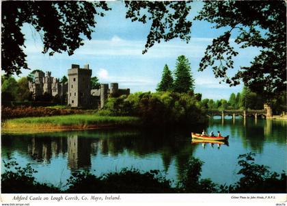 CPM AK Mayo Ashford Castle IRELAND (1440981)