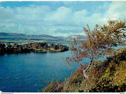 Irlande - Sligo - Lough Gill - Ireland - Irlanda - CPM - Voir Scans Recto-Verso