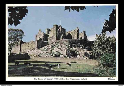 Irlande - Tipperary - The Rock of Cashel - Châteaux - Vieilles pierres - Carte Neuve - Ireland - CPM - Voir Scans Recto-