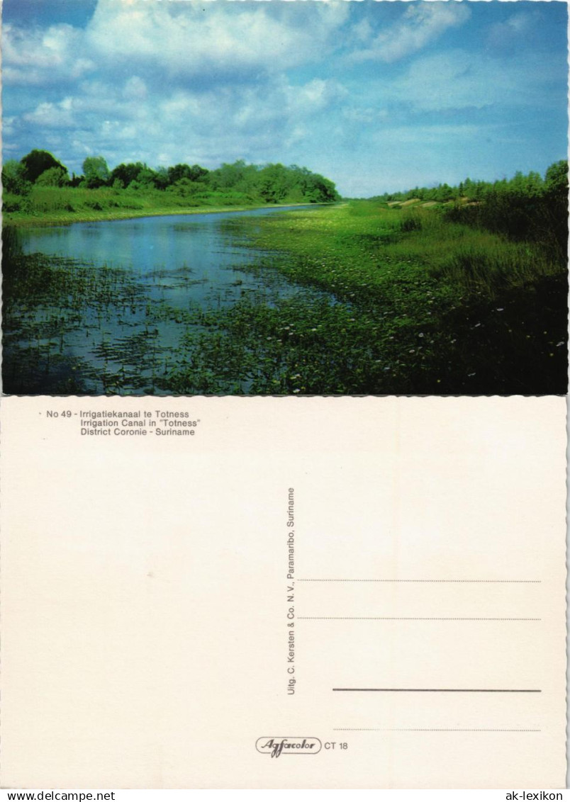 Irrigatiekanaal te Totness Irrigation Canal "Totness" District Suriname 1970