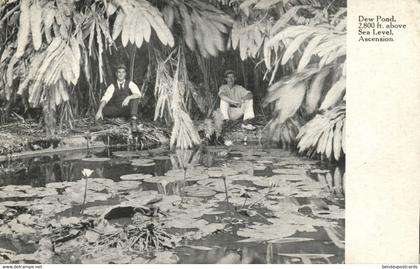 Ascension Island, Dew Pond, 2800 ft. above Sea Level (1900s) Postcard