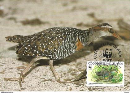 1992 - COCOS KEELING ISLANDS - Cocos Buff Banded Rail - Râle tiklin WWF