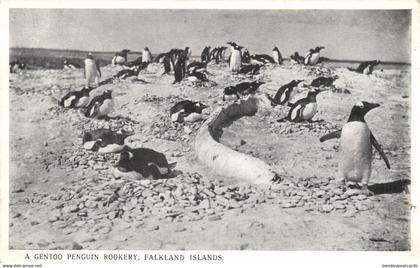 Falkland Islands, A Gentoo Penguin Rookery (1920s) Postcard