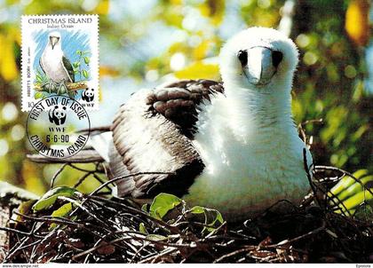 1990 - CHRISTMAS ISLAND - Abbott's Booby - Fou d'Abbott WWF