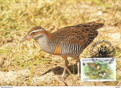 1992 - COCOS KEELING ISLANDS - Cocos Buff Banded Rail - Râle tiklin WWF