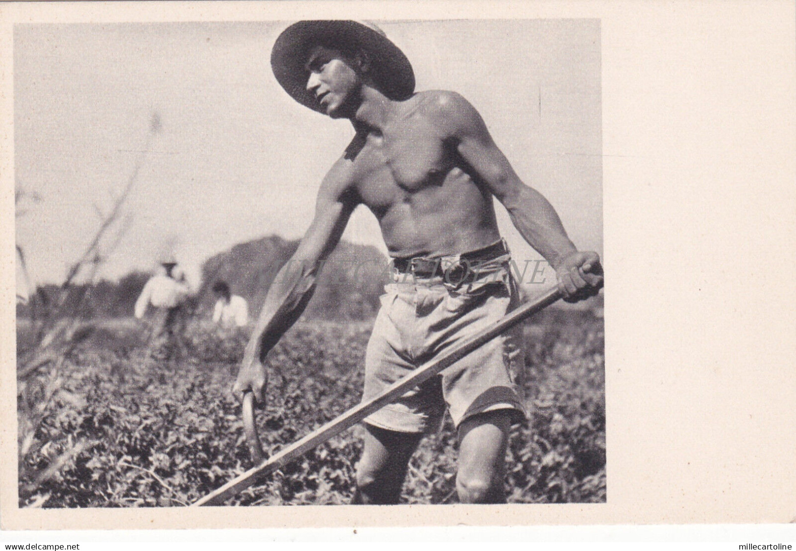 ISRAEL - Pupil at Mikveh Israel, Postcard J.Benor Kalter