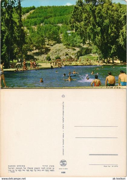 Postcard .Israel HAROD SPRING IN ISRAEL Badesee 1970