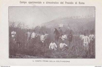 ROMA - Presidio: Campo Sperimentale  - il campo prima della coltivazione