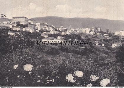 VELLETRI: Panorama       1966