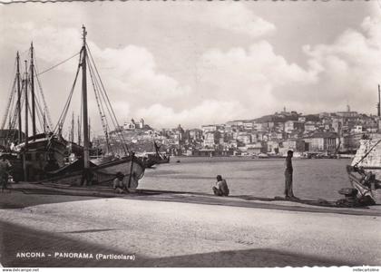 ANCONA - Panorama 1952