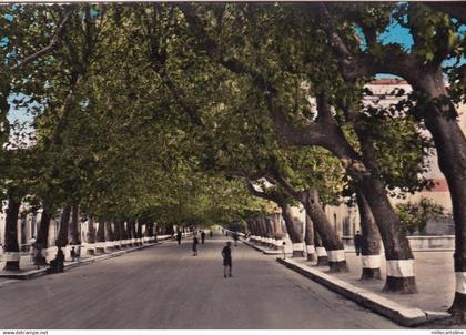 AVELLINO - Corso Italia 1961