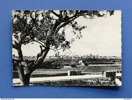 Cartolina Altamura - Panorama - 1956