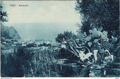 CPA Capri Panorama CAMPANIA ITALY (809375)