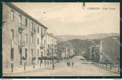 Cosenza città cartolina QZ3912